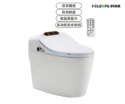 KZ028-全自动智能坐便器
